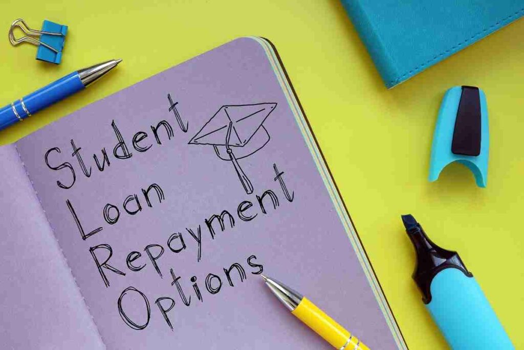 Repayment Options During the Study Period