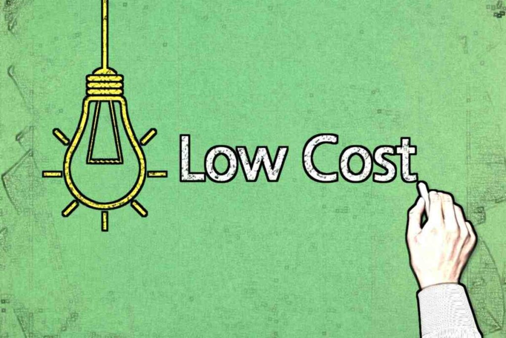 Low-Cost and High-Investment Business Ideas for Students​